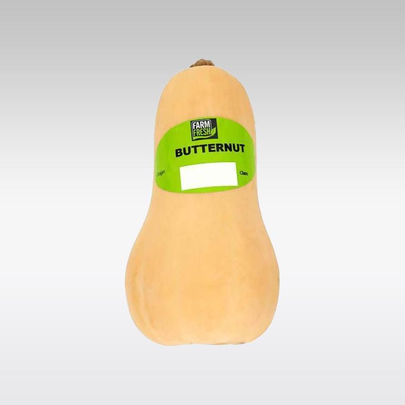 Butternut Squash (Single) - Indian Ginger