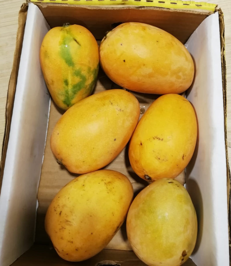 Dominican Mangoes - Limited availability - Indian Ginger