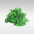 Fresh Fenugreek Leaves (Methi Single Bunch) - Indian Ginger