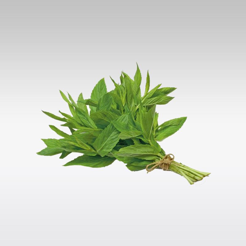 Fresh Mint 70g (Approx) - Indian Ginger