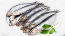 Whole Sardine - Indian Ginger