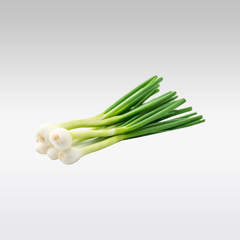 Spring Onion (Single) - Indian Ginger