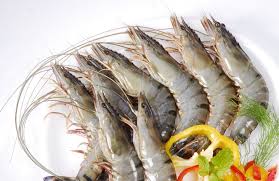 Tiger Prawns  [1 Kg , 16-18 pieces] - Indian Ginger